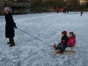 囊胚移植后不可吃葡萄柚还有什么可以替代