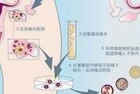 西北妇女儿童医院三代试管生孩子多少钱？成功率如何？