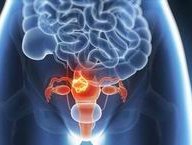 试管婴儿建档要提前准备好哪些资料？