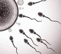 揭阳爱维艾夫试管医院怎么样？带给你意想不到的惊喜！