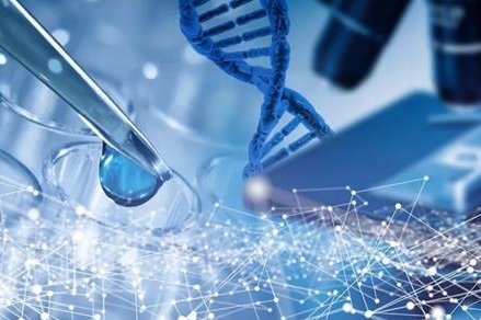 美国试管婴儿，移植胚胎越多成功率越高吗